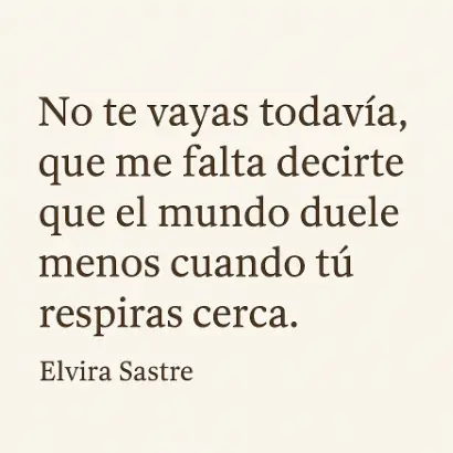 elvira sastre